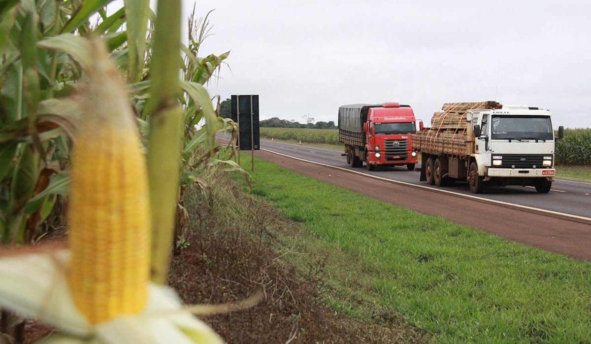 Estado retoma BR-174 e deve asfaltar rodovia entre Castanheira e Colniza